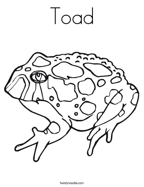 Toad with Spots Coloring Page