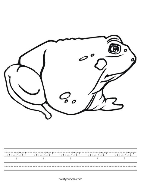 Toad Worksheet