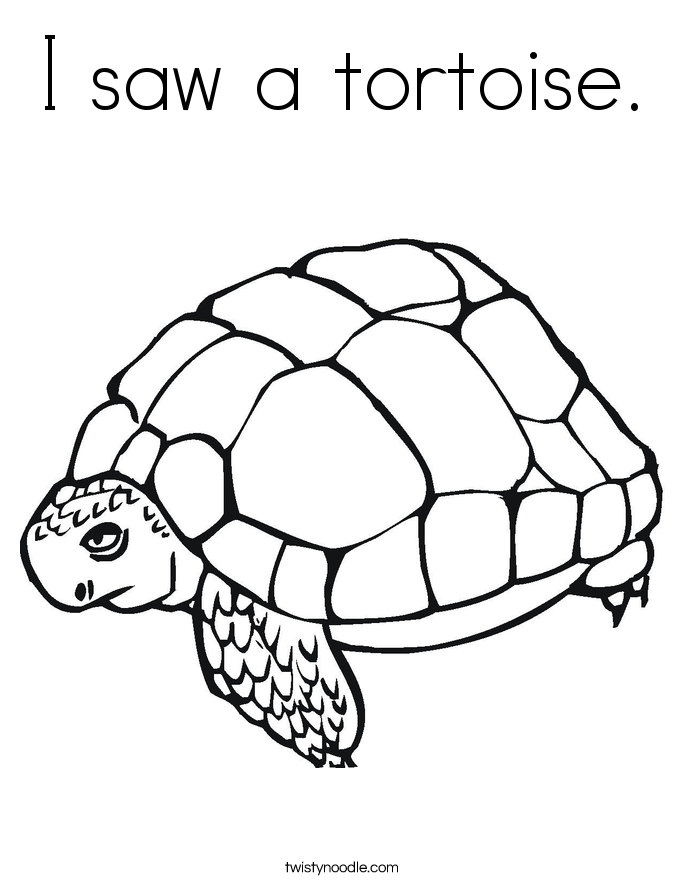 I saw a tortoise. Coloring Page