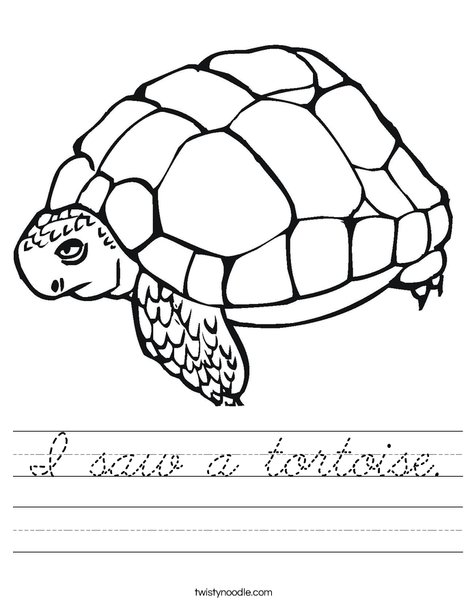 Tortoise Worksheet