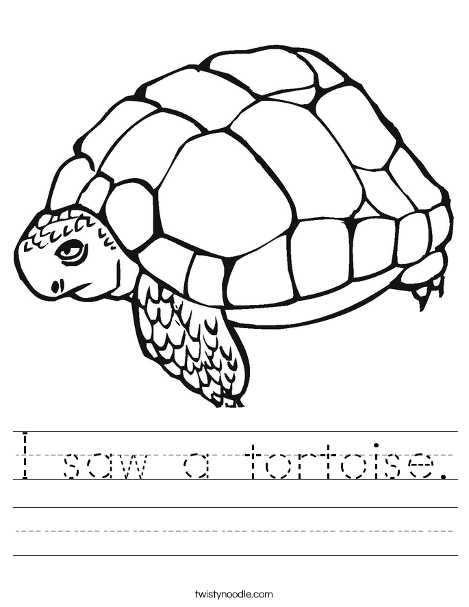 I saw a tortoise. Worksheet