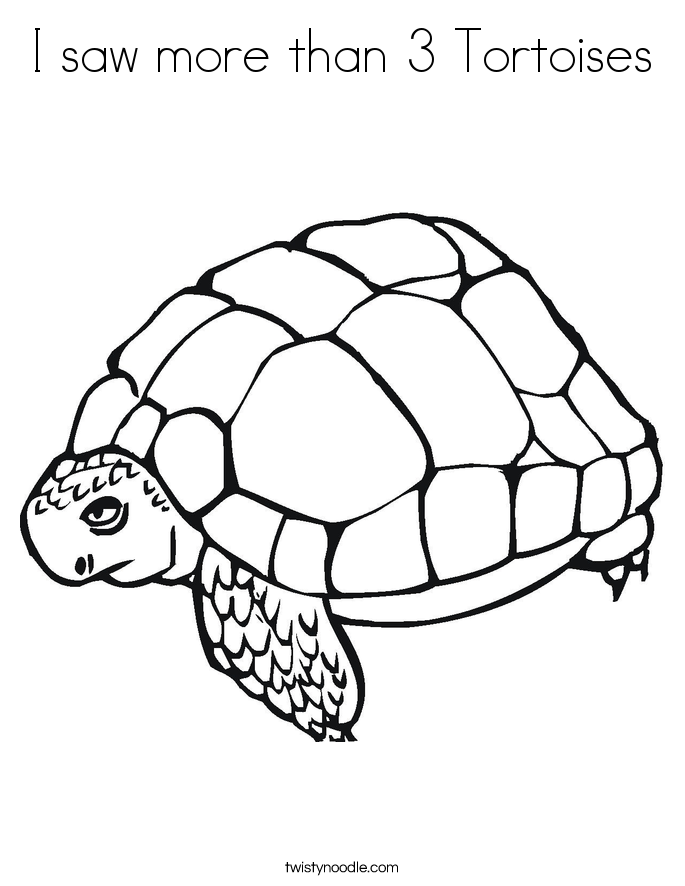 I saw more than 3 Tortoises Coloring Page
