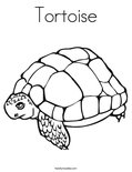 TortoiseColoring Page