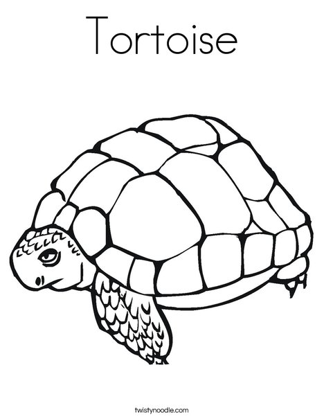 Galápagos tortoise coloring page giant turtle - Topcoloringpages.net