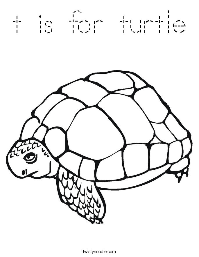 t is for turtle Coloring Page