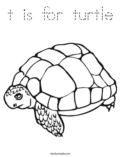 Tortoise Coloring Page
