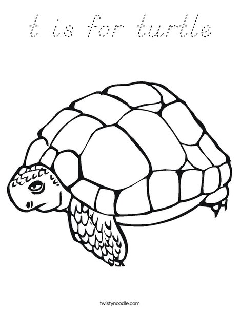 Tortoise Coloring Page