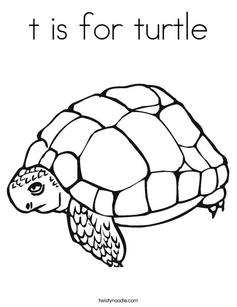 Tortoise Coloring Page