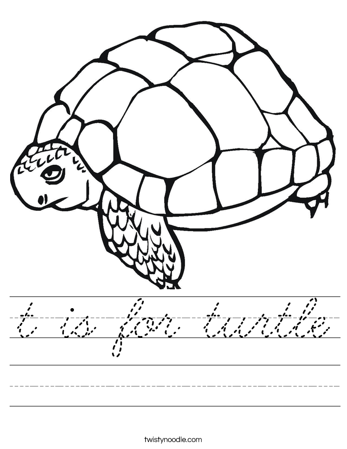 t is for turtle Worksheet