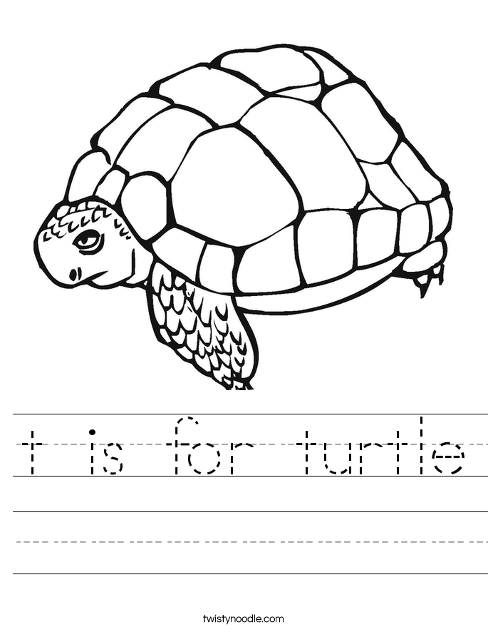 t is for turtle Worksheet