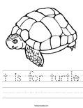 t is for turtle Worksheet