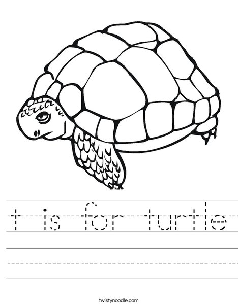 Tortoise Worksheet