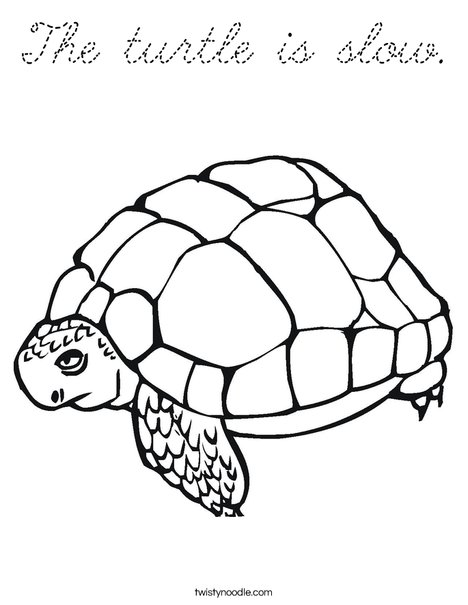 Tortoise Coloring Page