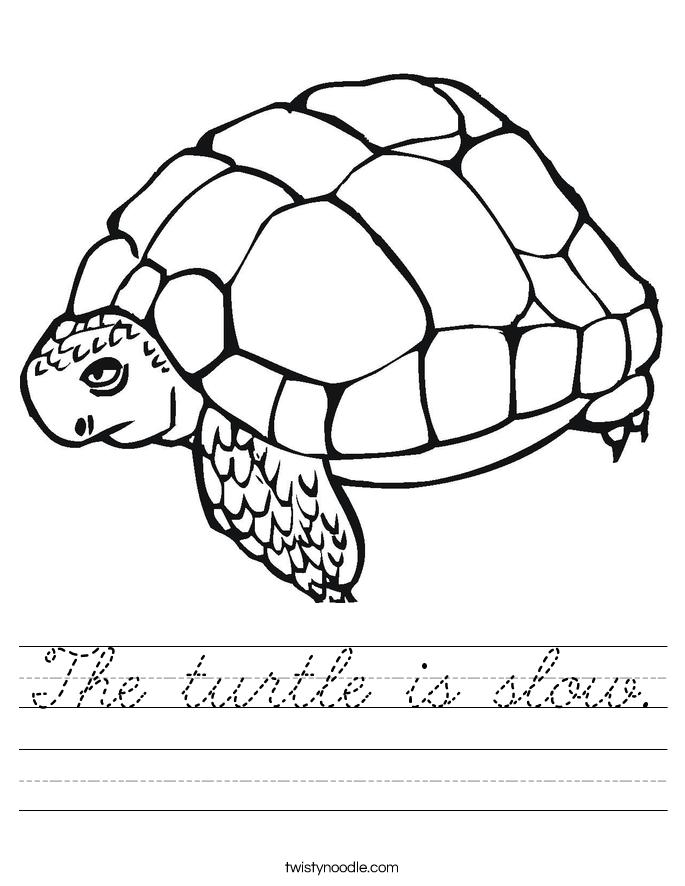 The turtle is slow. Worksheet