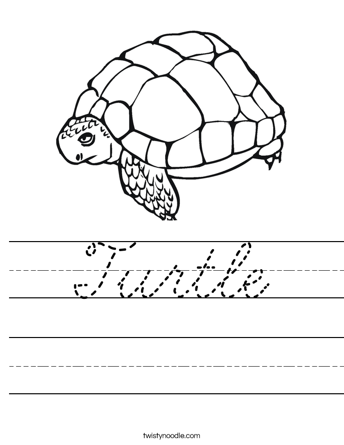 Turtle Worksheet