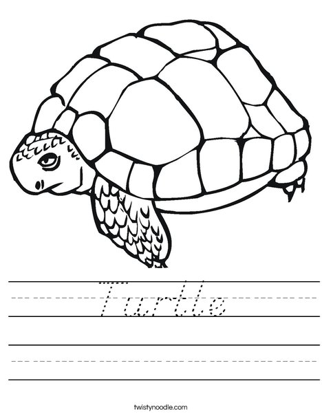 Tortoise Worksheet