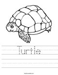 Turtle Worksheet