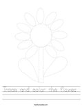Trace and color the flower.  Worksheet