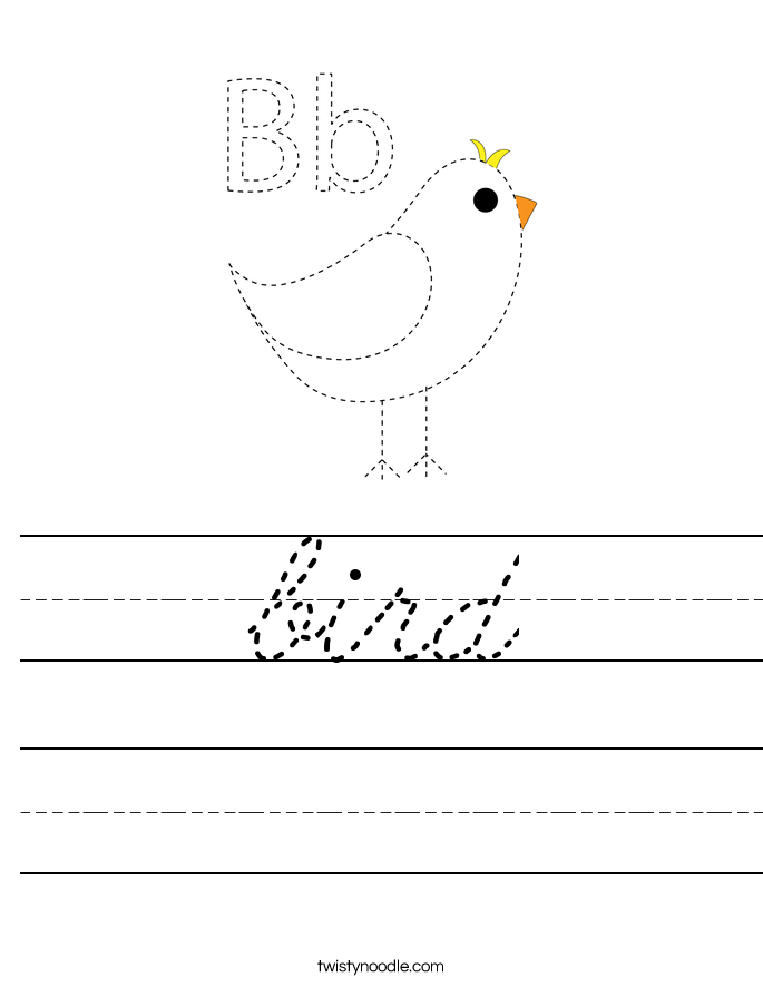 bird Worksheet