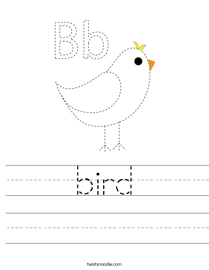 bird Worksheet