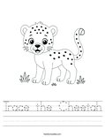 Trace the Cheetah Worksheet