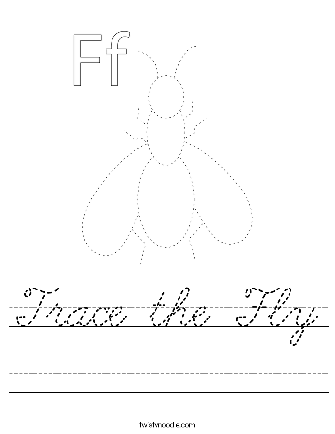 Trace the Fly Worksheet