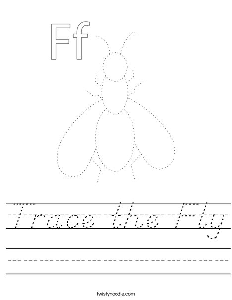 Trace the Fly Worksheet