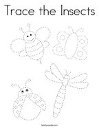Trace the Insects Coloring Page