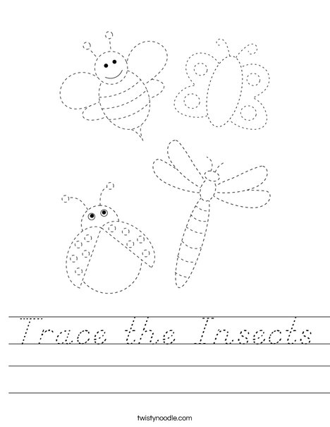 Trace the Insects Worksheet