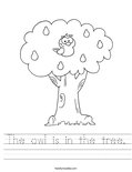 The owl is in the tree. Worksheet