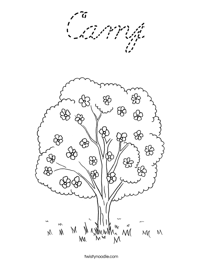  Coloring Page