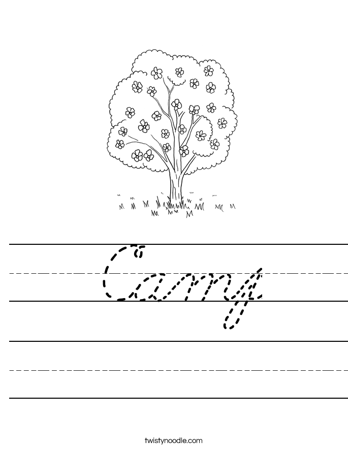 Camp Worksheet