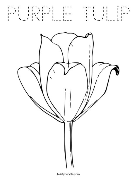 PURPLE TULIP Coloring Page - Tracing - Twisty Noodle
