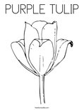 PURPLE TULIPColoring Page