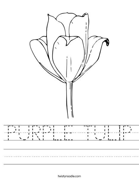 Tulip Worksheet