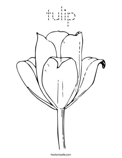 Tulip Coloring Page