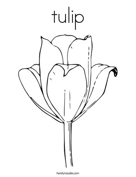 tulip coloring page twisty noodle