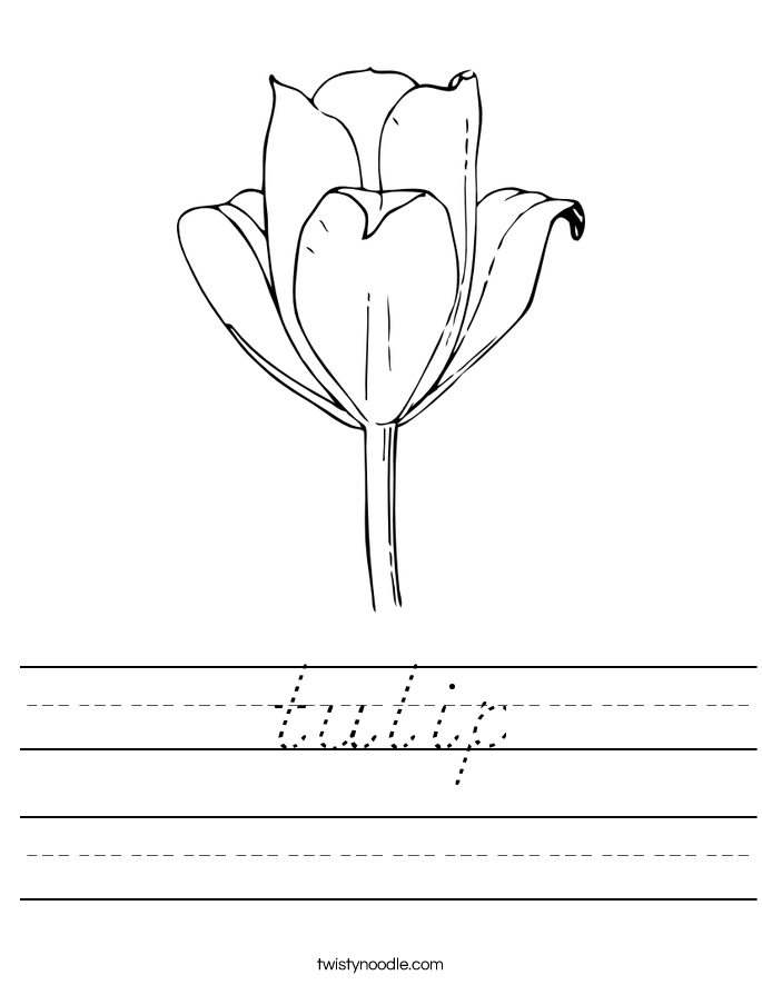tulip Worksheet