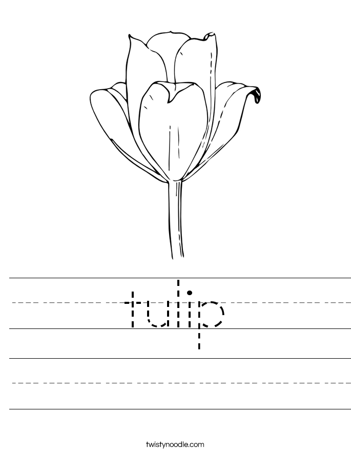 tulip Worksheet