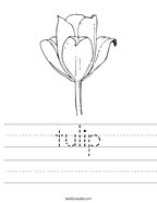 tulip Handwriting Sheet