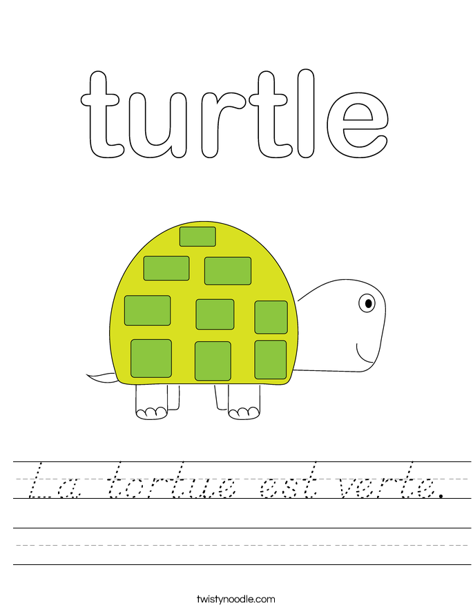 La tortue est verte. Worksheet