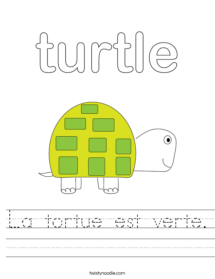 La tortue est verte. Worksheet