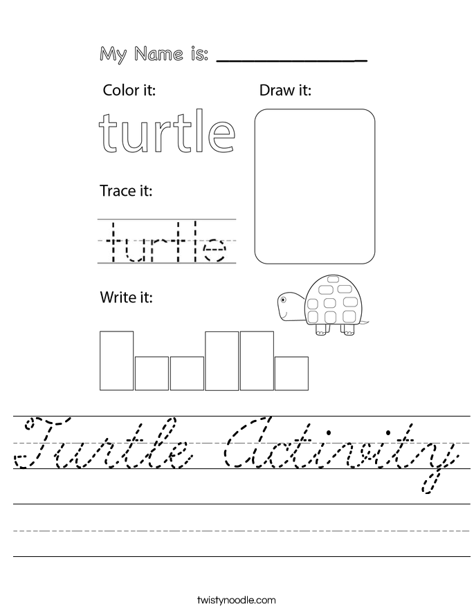 Turtle Activity Worksheet