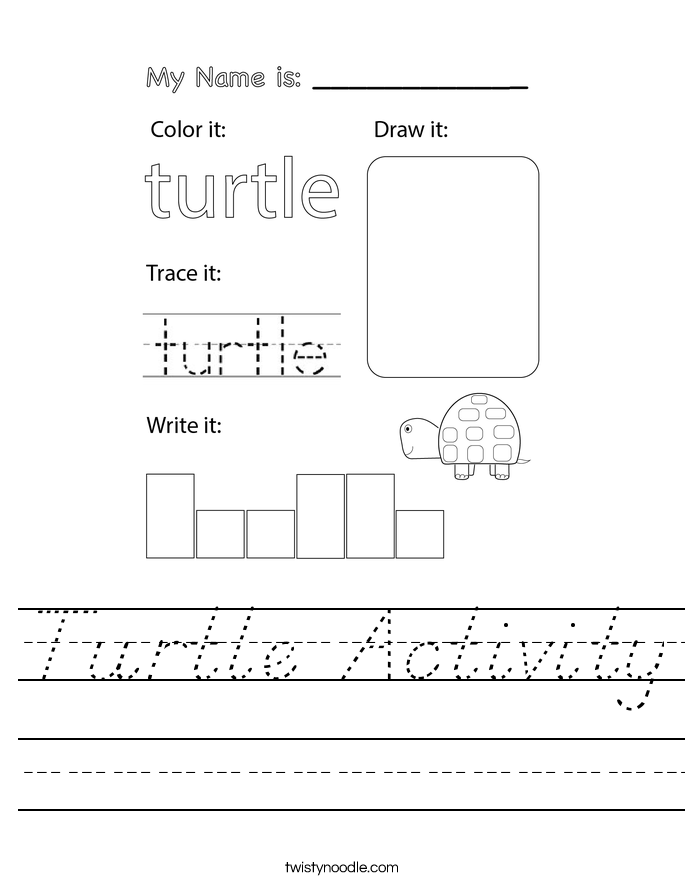 Turtle Activity Worksheet