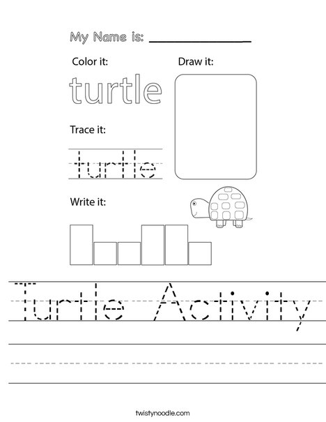 Turtle Activity Worksheet