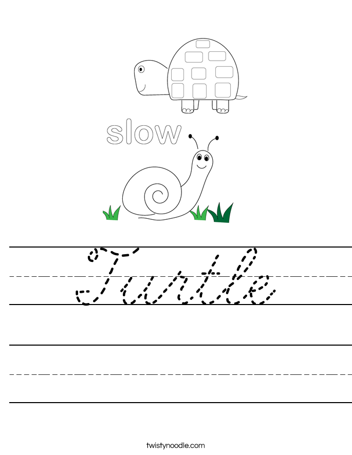 Turtle Worksheet