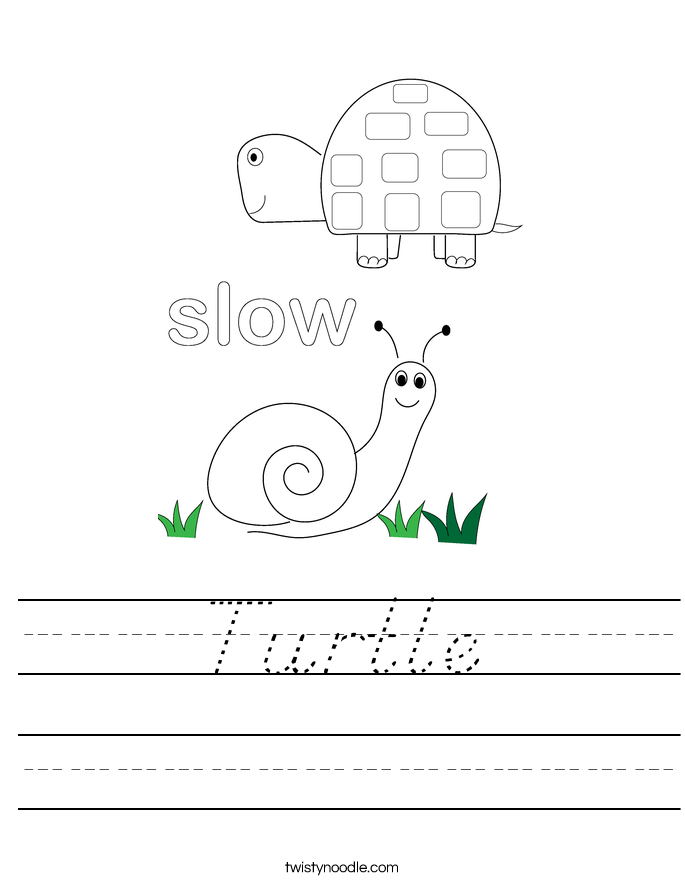 Turtle Worksheet