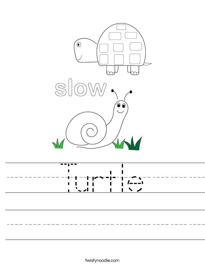 Turtle Worksheet