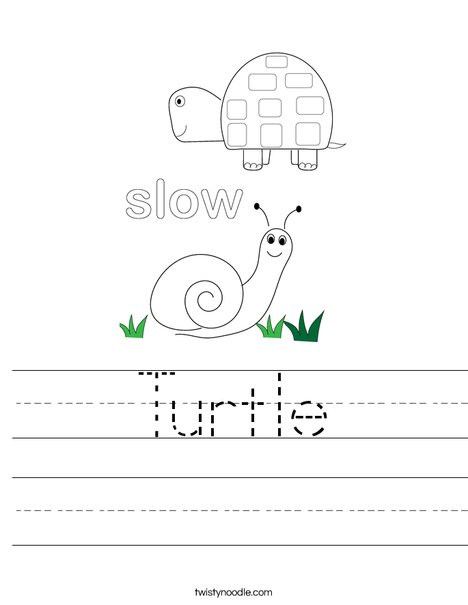 Turtle and Snail Worksheet