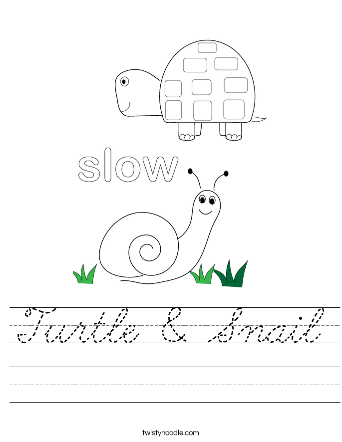 Turtle & Snail Worksheet
